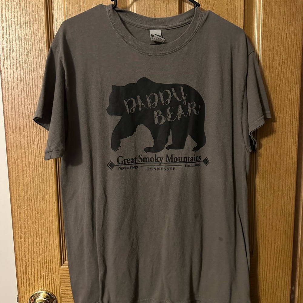Gray Great Smoky Mountains Men's T-Shirt